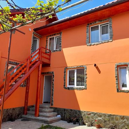 Casa Alex Hotel Cartisoara Exterior photo