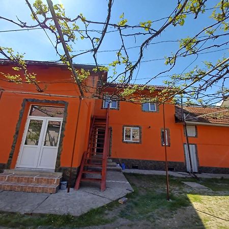 Casa Alex Hotel Cartisoara Exterior photo