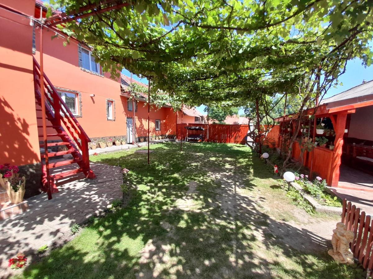 Casa Alex Hotel Cartisoara Exterior photo